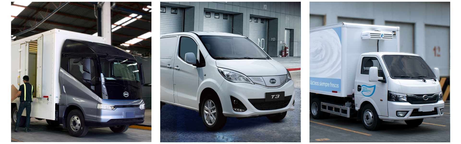 Diseño sin título (5)