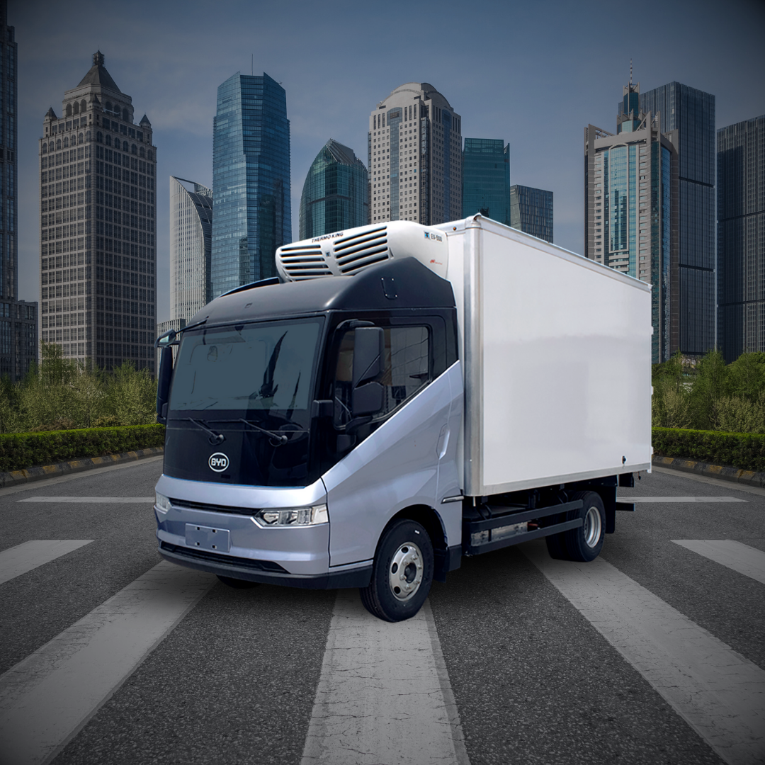 Diseño sin título - 2024-02-17T170506.769